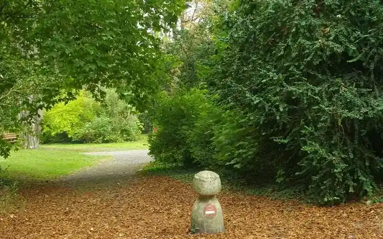 Destruction de nid de guêpes et frelons à Reims